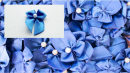 Pajarita azul con perla