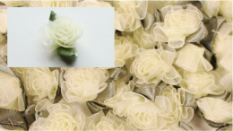 Rosa con hojas verdes